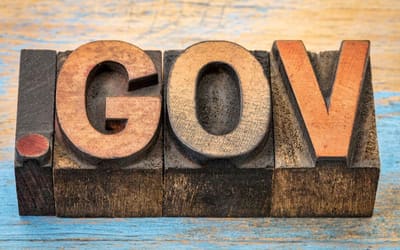 Government Website